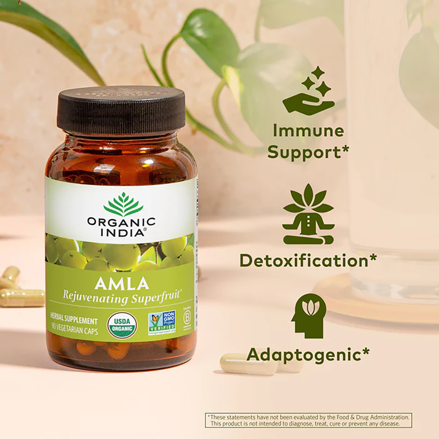 Amla 90 Capsules